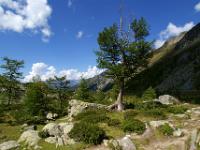 Urige Landschaft im mittleren Dösental